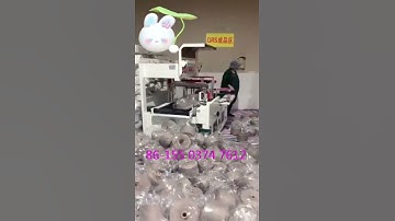 Auto Shrink Wrapping Machine Shrink Packing rice noodle automatic shrink wrap machine heat tunnel