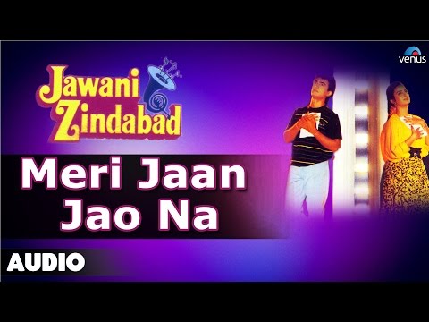 Jawani Zindabad : Meri Jaan Jao Na Full Audio Song | Aamir Khan, Farah Khan |