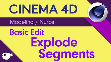 복쌤의 시포디 스터디 ( Modeling / Nurbs / Explode Segment )