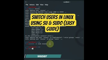 Switch Users in Linux Using su & sudo (Easy Guide)