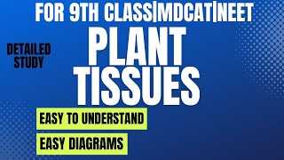PLANT TISSUES|EASY to UNDERSTAND|Class 9|TISSUE FUNCTIONS|Histology in urdu/Hindi WITH EASY DIAGRAM
