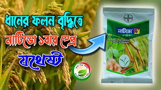 নাটিভো ফসলে কেনো ব্যবহার করবেন।নাটিভো ছত্রাক নাশক কি কাজ করে।Nativo fungicide । নাটিভোর কাজ কি?