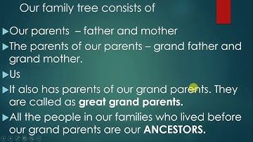Lesson 3 Story of my family #class2 #EVS #Familytree #growthoffamilytree
