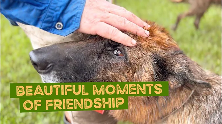 So many beautiful moments of friendship and accept...