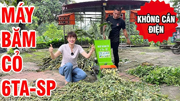 🔥 Giá Siêu Rẻ! Máy Băm Cỏ 6TA-SP Đầu Nổ 6,5HP 👉Năng Suất 8 Tạ/Giờ, Băm Khỏe Mọi Nơi Không Lo Điện!