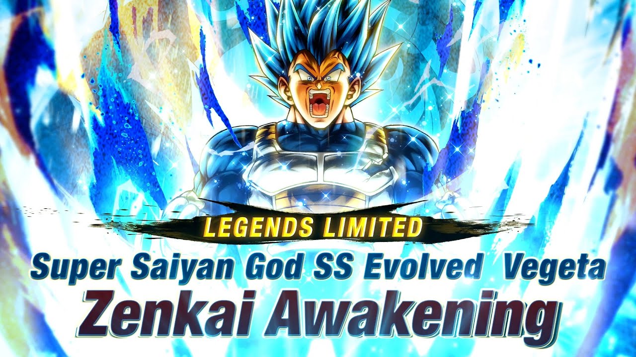 LL Super Saiyan God SS Evolved Vegeta & Super Saiyan God SS