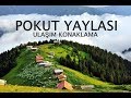 KARADENİZ TURU II RİZE POKUT YAYLASI II ULAŞIM II KONAKLAMA