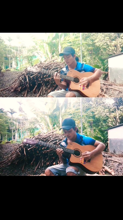 Melodies that evoke nature's serenity #guitar #relaxingmusic #shorts
