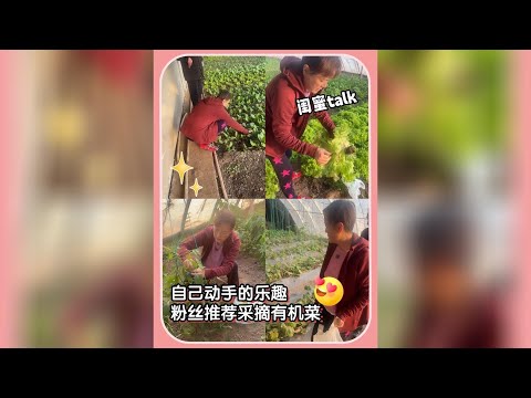 The Joy Of Doing It Yourself Picking Organic Vegetables They Smell So Good