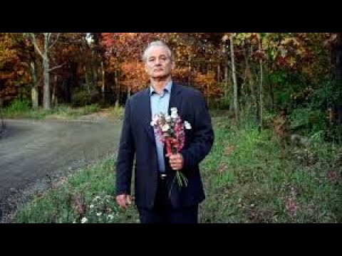 Broken Flowers  Full Movie Facts , Review And Knowledge /  Bill Murray / Jeffrey Wright