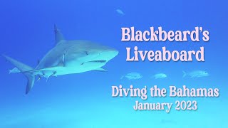 Scuba Diving the Bahamas on Blackbeard's Liveaboard, 