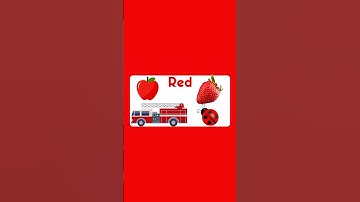 Let’s Learn Colors! 🌈 Fun Learning Video for Kids and Toddlers #colors #preschoollearning #learn