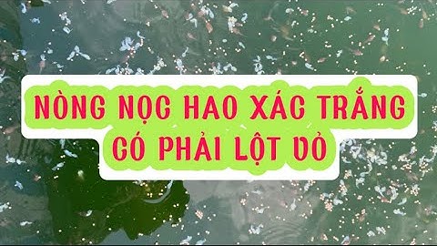 Nòng nọc ếch hao xác, nòng nọc lột vỏ cách trị bệnh nòng nọc hiệu quả | Nòng nọc chết trắng