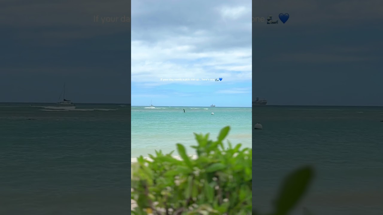 just a little something to make your day 