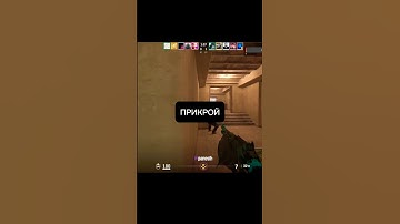 Я иду брат #csgo #wtfcsgo #стрим #приколыcsgo #ксго #твичстрим #counterstrike #twitch #gaming