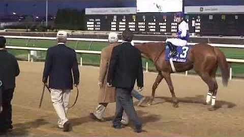 11-23-12 Congrats Shackleford on going out a WINNE...