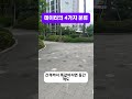 데이터의 4가지 분류