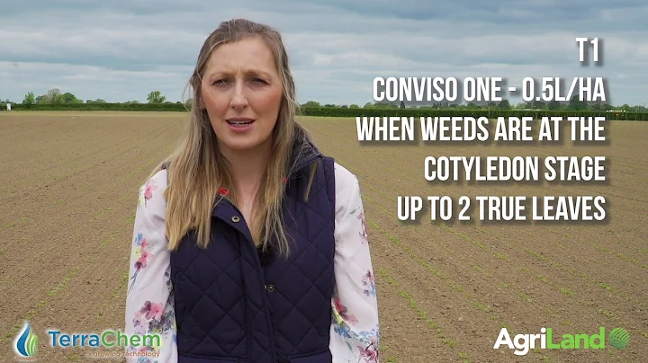 CROPS WATCH: The new beet on the block is 'smart'