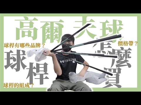 高爾夫球桿該怎麼買？高爾夫球桿有哪些品牌？價格帶在哪？切推鐵木桿！