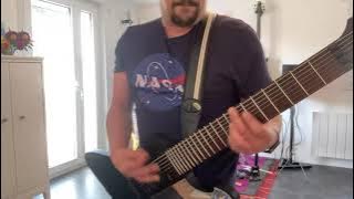 MESHUGGAH - The Hurt That Finds You First - FTM 33 - Guitar Cover - One Take