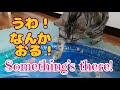 49.ウォーターマットにビビる猫/Cat scared of water mat
