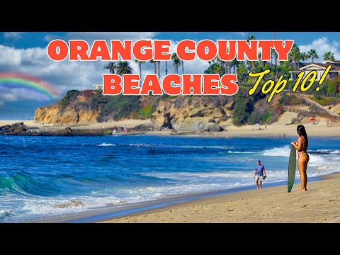 Video: Ngắm Cá Voi tại Dana Point và Coastal Orange County