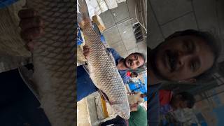 Amazing Big Rohu Fish In Indian Delhi Market shortvideo rrrm fishcutting_skills