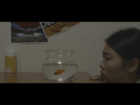 질식 2019. (Sungkyunkwan Univ. short film)