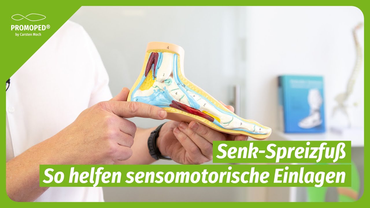 Was Ist Ein Senk Spreizfuß www.youtube.com