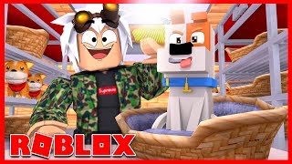 Roblox Jailbreak Trucovlip Lv - nueva ambulancia en jailbreak es util roblox youtube