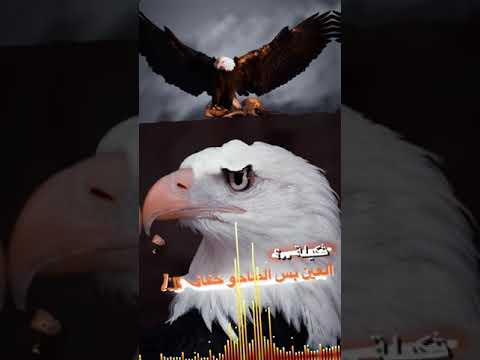 يروح غالي ويجي اغلى ولي ميتعدل يتبدل 