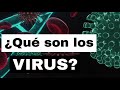 ¿Qué son los virus? 5 puntos que debes saber de ellos