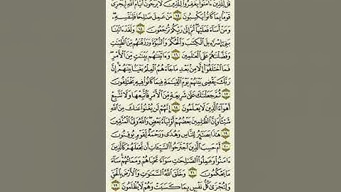 سورة الجاثية من الآية ١٤ إلى الآية ٢٢بصوت القارئ ماهر المعيقلي