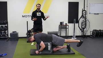 Quadruped Hip Extension Axial Rotations