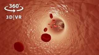 VR 360 Animation - Inside the Human Body screenshot 3