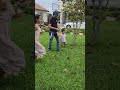 Hunter eggs Buscando huevos de pascua