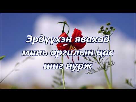 Видео: Эзэнт гүрвэлийн цэцгийн цэцэг - цэцэрлэгийн ургамлын хааны төлөөлөгч