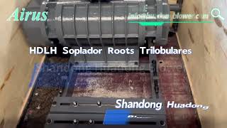 Hdlh Soplador Roots Trilobulares - Acuicultura