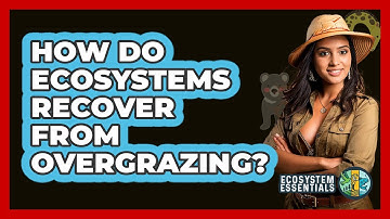 How Do Ecosystems Recover From Overgrazing? - Ecosystem Essentials