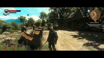 [The Witcher 3: Wild Hunt] Weird graphics glitch?