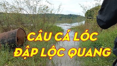 Câu Cá Lóc Đập Lộc Quang / Quang Hưng Vlog