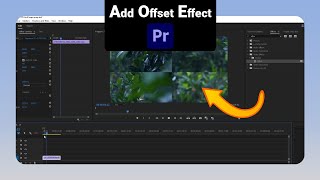How to Add Offset Effect on Premiere Pro [NEW]