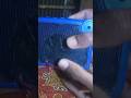 Bluetooth speaker #amplifier#short video#speakers