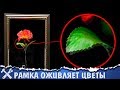 🌿Рамка оживляет цветы! Нереально крутая самоделка