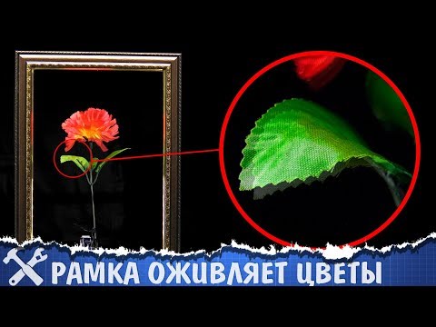 Видео: 🌿Рамка оживляет цветы! Нереально крутая самоделка