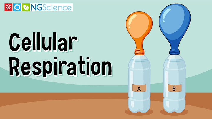 Water is formed during cellular respiration. in which part of the cell is the water formed?