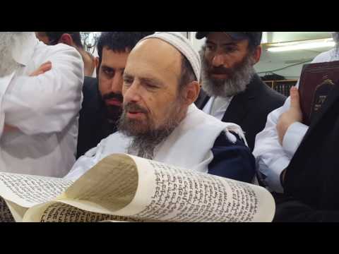 הרב קוק מזהיר מנפצים והאיסור לקנות אותם - לפני קריאת המגילה תשע"ו