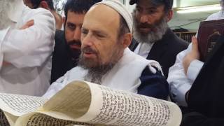 הרב קוק מזהיר מנפצים והאיסור לקנות אותם - לפני קריאת המגילה תשע"ו