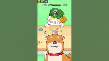 Hide and Seek: Cat Escape! 👀🐱 1037 Level Gameplay Walkthrough | Best Android, iOS Games #shorts