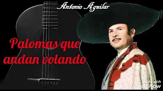 Palomas que andan volando (letra) Rich* - Antonio Aguilar Palomas que andan volando (letra) Rich* - Antonio Aguilar
